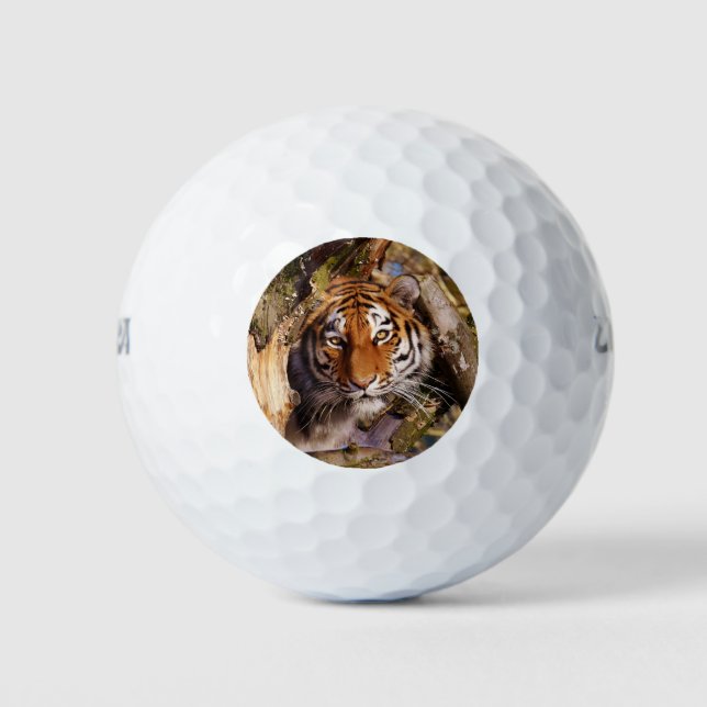 Tiger Cat Animal Stripes Muster Destiny Destiny's Golfball (Vorderseite)