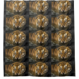 Tiger Cat Duwer Bath Zuhause Destiny's Destiny Duschvorhang