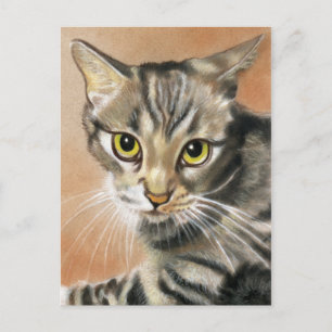 Tiger Cat Kitten Animal Postcard Postkarte