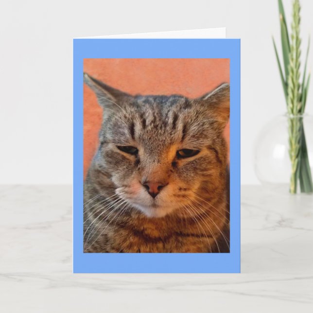 Tiger Cat Miss You Karte (Vorderseite)