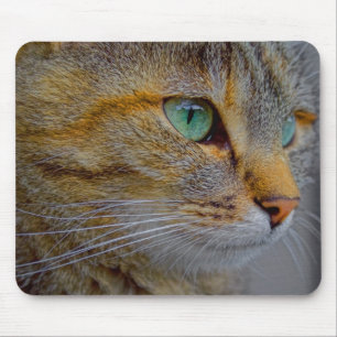 Tiger Cat Portrait Mousepad