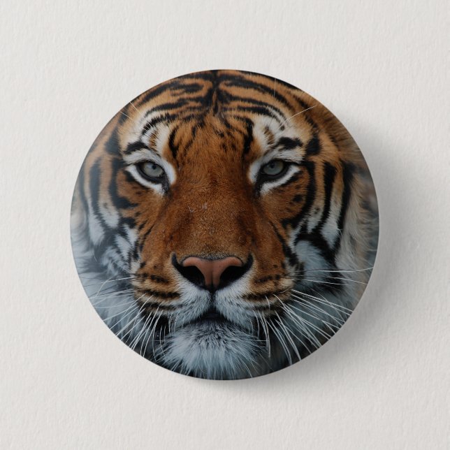 Tiger Cat Stripes Jungle Mist Animal Button (Vorderseite)