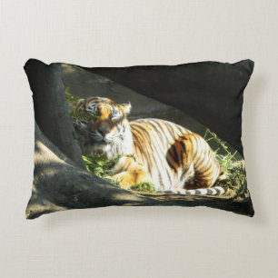 Tiger Catnap Dekokissen