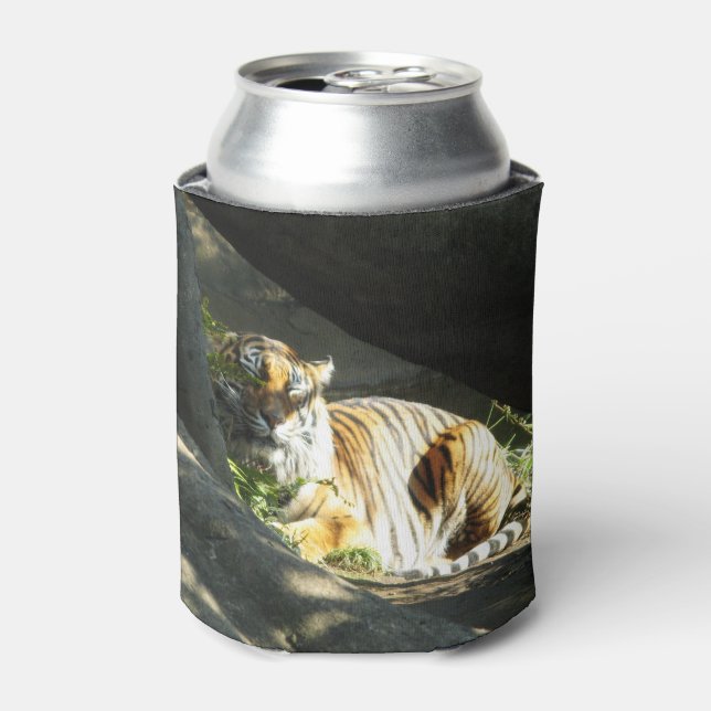 Tiger Catnap Dosenkühler (Kanne Vorderseite)