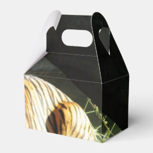 Tiger Catnap Geschenkschachtel