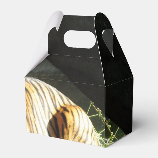 Tiger Catnap Geschenkschachtel (Vorderseite)