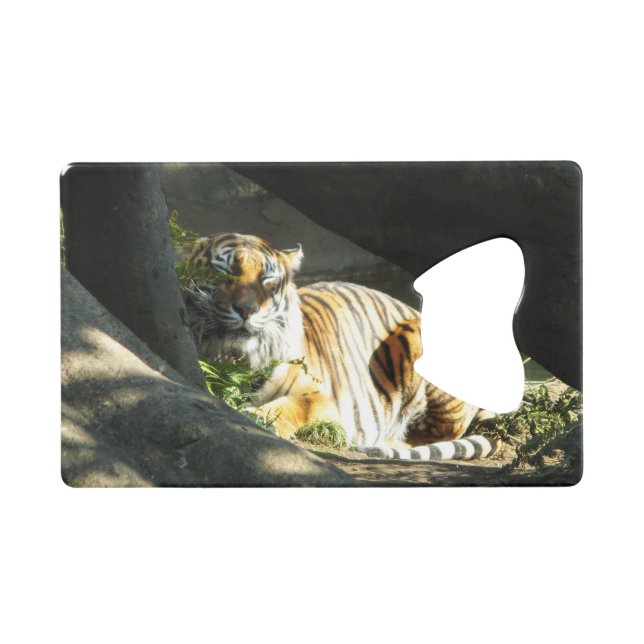 Tiger Catnap Kreditkarten Flaschenöffner (Vorderseite (Horizontal))
