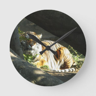 Tiger Catnap Runde Wanduhr