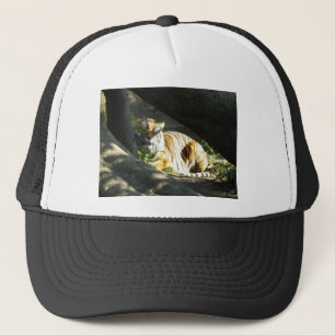 Tiger Catnap Truckerkappe