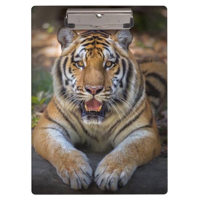 Tiger Clipboard Klemmbrett (Vorderseite)