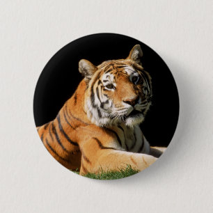 Tiger Closeup Button