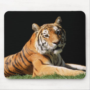 Tiger Closeup Mousepad
