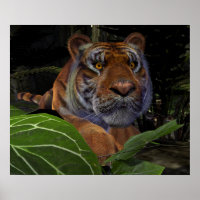 Tiger Crouching im Dschungel