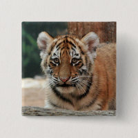 Tiger Cub Button