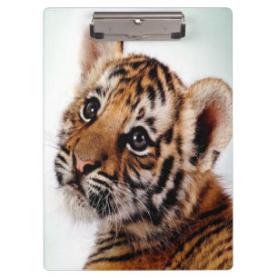 Tiger Cub/Clipboard Klemmbrett