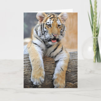 Tiger Cub Greeting Card Karte