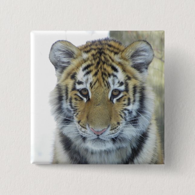 Tiger CUB im Schnee-nahen hohen Porträt Button (Vorderseite)
