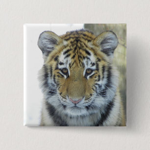Tiger CUB im Schnee-nahen hohen Porträt Button