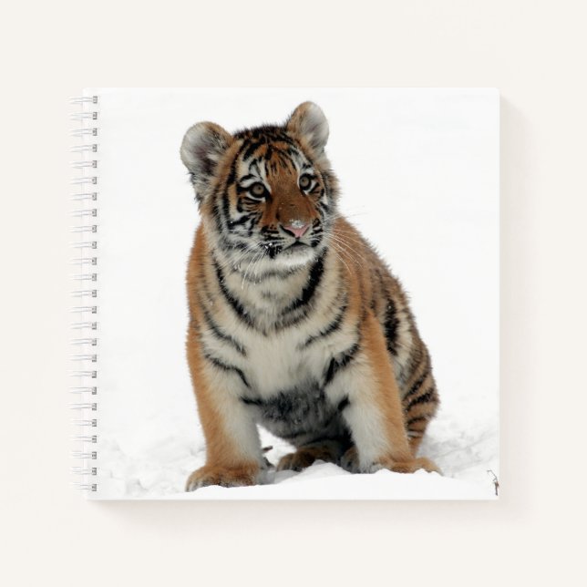Tiger Cub in the Snow Photograph Notizbuch (Vorderseite)