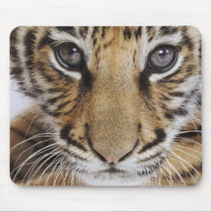 Tiger CUB Mousepad