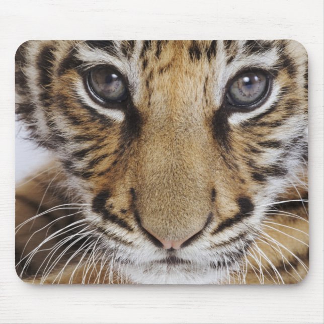 Tiger CUB Mousepad (Vorne)