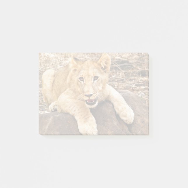 Tiger CUB nimmt Verschnaufpause auf einem Felsen Post-it Klebezettel (Vorderseite)