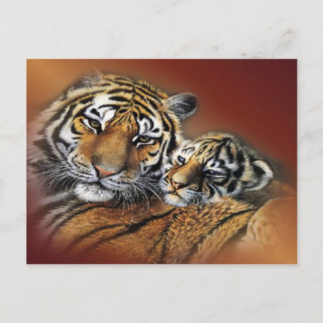 Tiger & Cub Postcard Postkarte (Vorderseite)