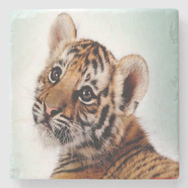 Tiger Cub Steinuntersetzer (Vorderseite)