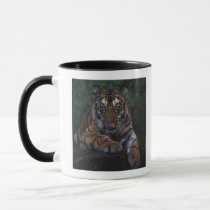 Tiger CUB stützt auf Felsen Tasse