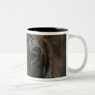 Tiger CUB Zweifarbige Tasse