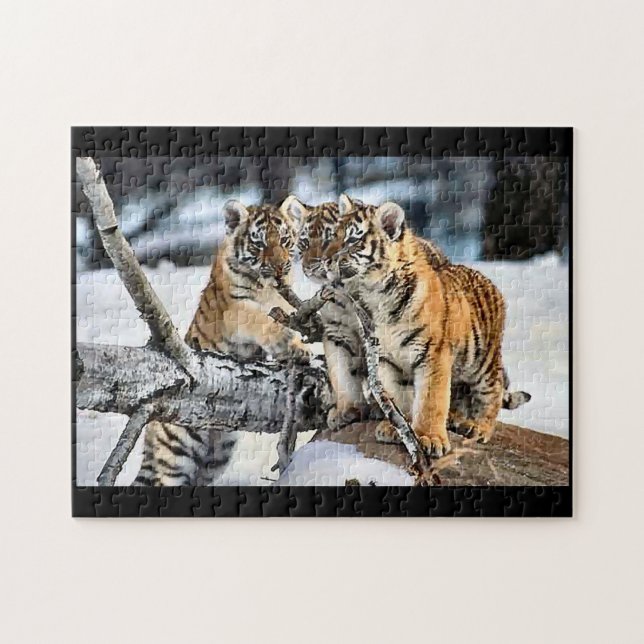 Tiger Cubs beim Spielen (Horizontal)