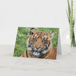 Tiger Dankeschön Grußkarte Dankeskarte