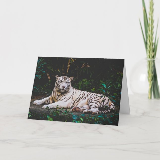 Tiger Dankeskarte (Vorderseite)