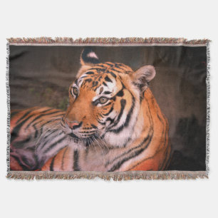 Tiger Decke