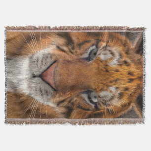 Tiger Decke