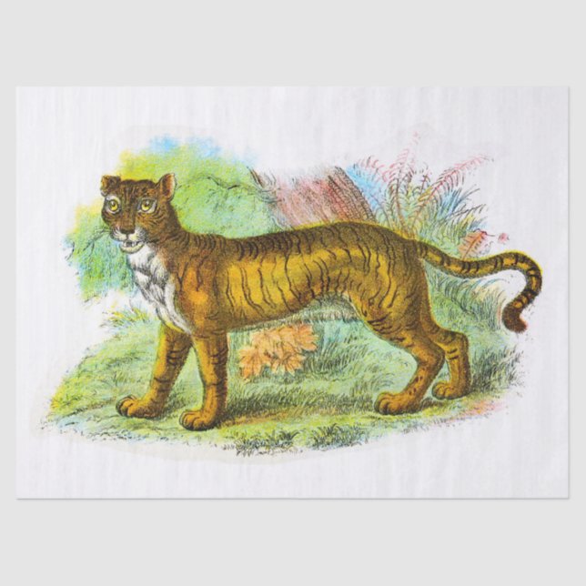 Tiger-Dekoute für Vintagen Liger oder Löwe Seidenpapier (Vorderseite)