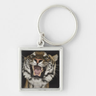 Tiger, der 2 brüllt schlüsselanhänger