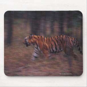 Tiger, der durch Wald geht Mousepad