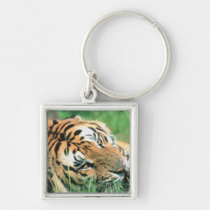 Tiger, der im Gras liegt Schlüsselanhänger
