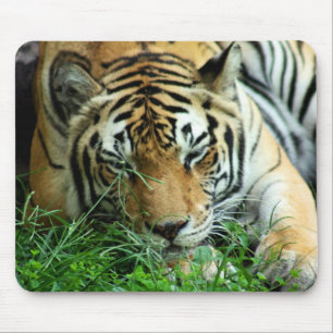 Tiger, der im Gras Mousepad schläft