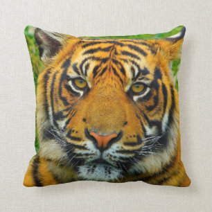 Tiger - der letzte Tiger? Kissen