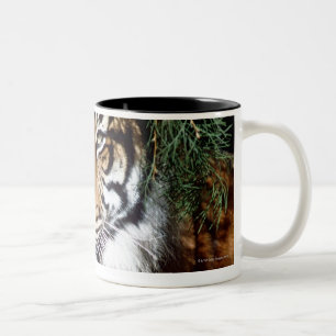 Tiger, der Schatten genießt Zweifarbige Tasse