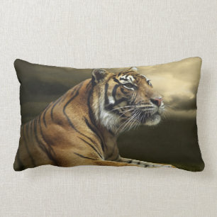 Tiger, der unter drastischem Himmel schaut und Lendenkissen