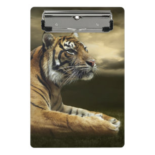 Tiger, der unter drastischem Himmel schaut und Mini Klemmbrett