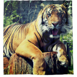 Tiger Duschvorhang