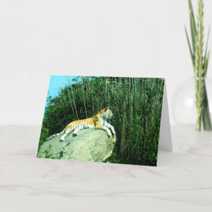 Tiger entspannt  feiertagskarte