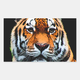 Tiger Eyes Inspiration Rechteckiger Aufkleber