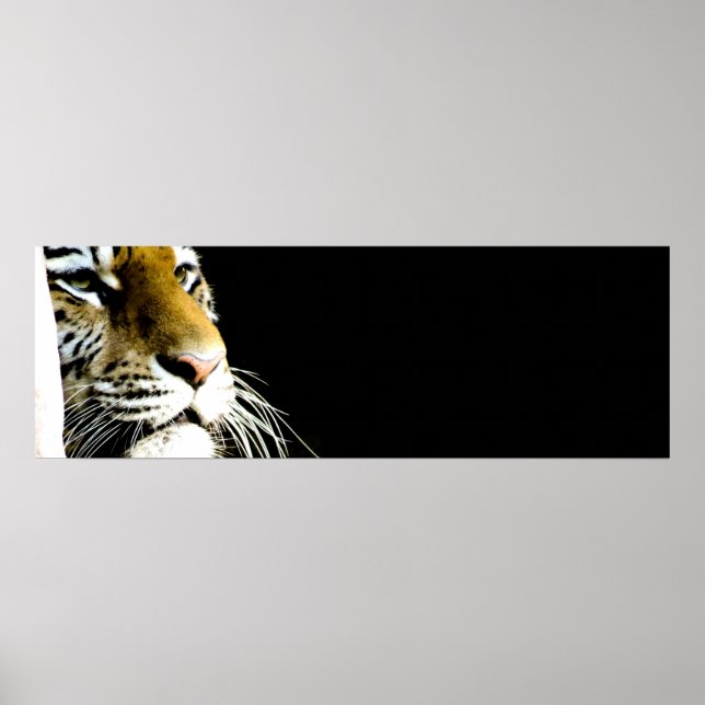 Tiger Eyes Poster (Vorne)