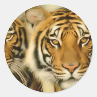 Tiger Eyes Runder Aufkleber