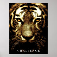 Tiger Eyes Wild Animal Art Challenge Inspiration
